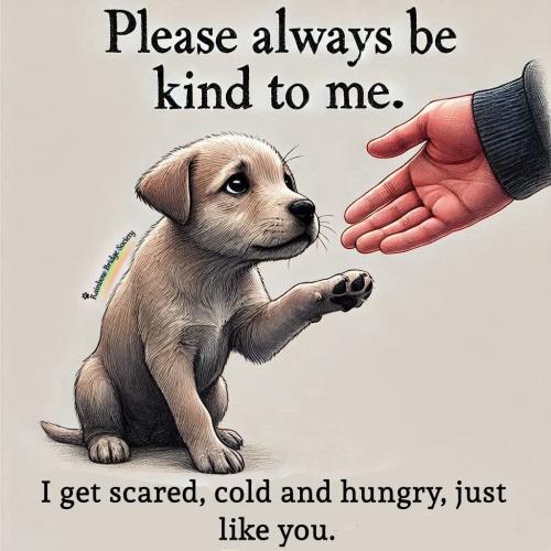 FB_IMG_1738034263680