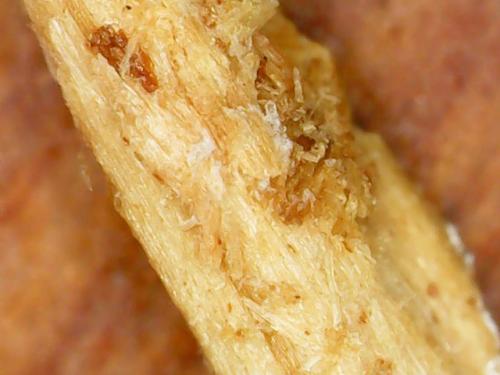 FINGER PADDING KEYBOARD DROP (15)