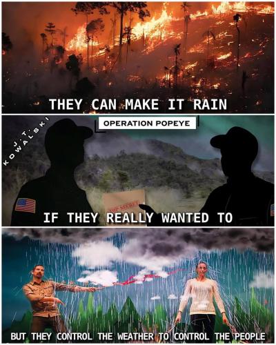 photo_2025-01-09_19-24-23