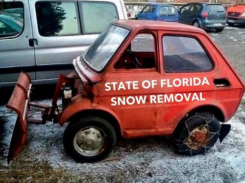 474447100_10232152506574276_3420294714149238751_n