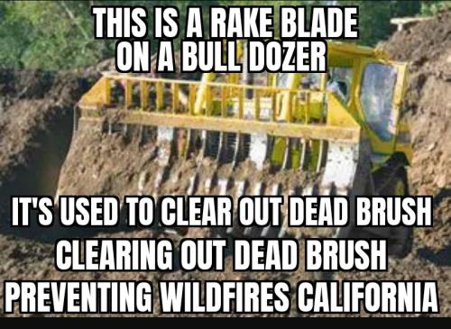 ZomboMeme 08012025070045