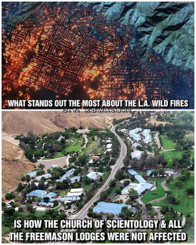 image_2025-01-12_104614005