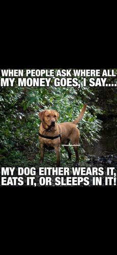 Screenshot_20250126_105836_Gallery