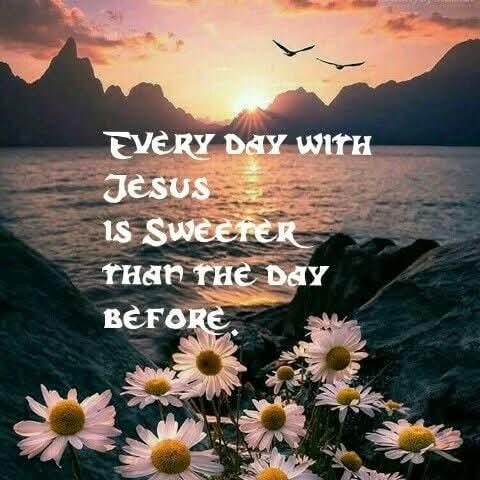 77cd5f95-0d2c-469f-b6e0-03007dbf8b6c