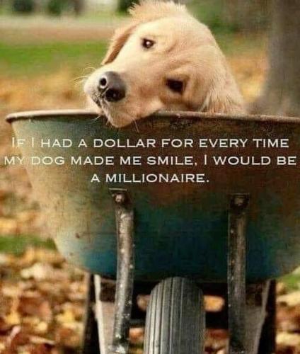 a5194bc24247aca1c2acd451e84145eb