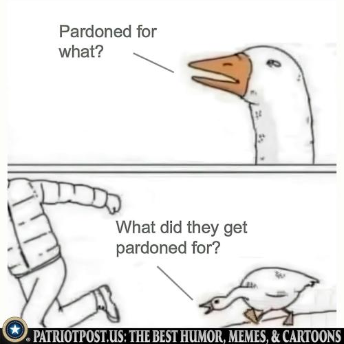 01JJ3H7HCV3P97TV82ZS0WGFR3