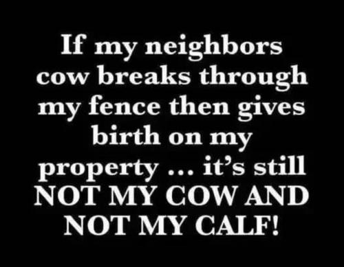 f1c071a0-e65e-4e89-ae75-7395f63367f2