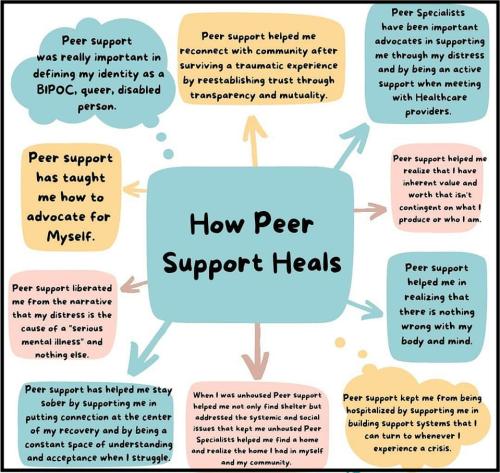 1B-Peer Support Healing