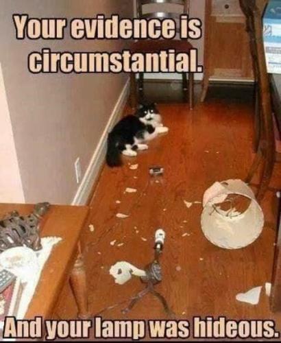evidence-is-circumstantial-and-lamp-hideous