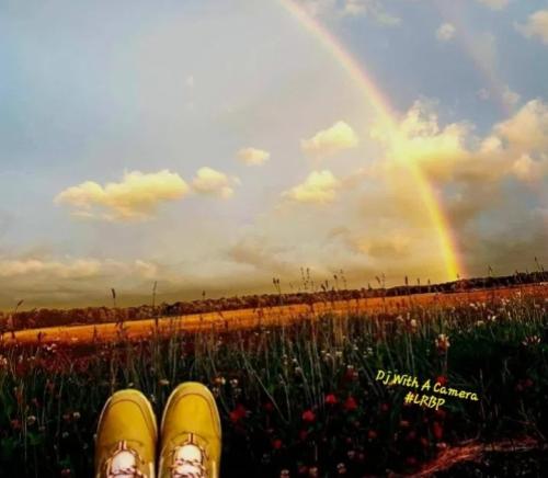 Screenshot_20250119_074337_Brave