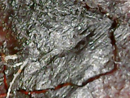 SPINE BASE HYDRO GEL PROGRESS (20)