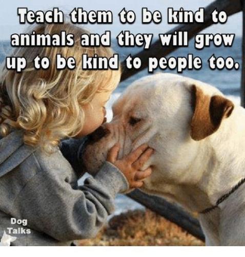 774a24d1dc84ef7e0ce70109d1f13629