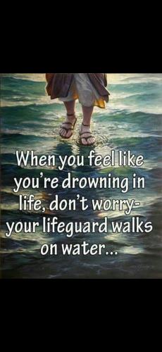 Screenshot_20250103_205239_Gallery