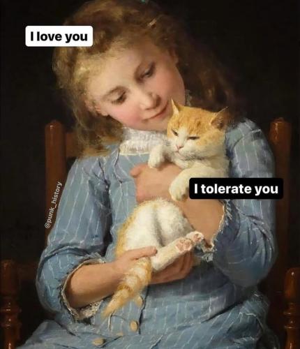 punk_history-love-tolerate