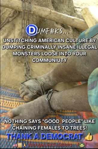 Screenshot_20250125_122634_Photo Editor