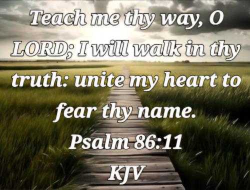 7fb40a95-2a8e-4fca-b1d4-c64f8389e011