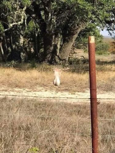 F17532A1-E13C-400D-B519-0F35F480E11E