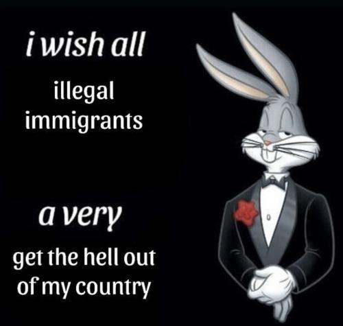 photo_2025-01-24_22-41-14