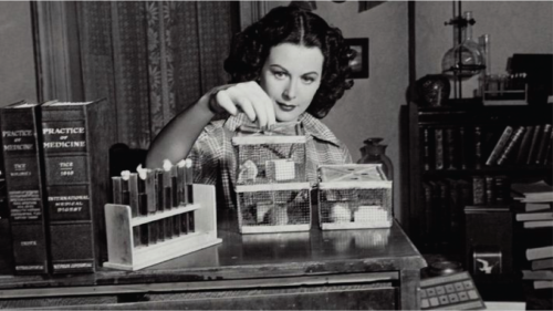 Women-in-Tech-07-1536x864