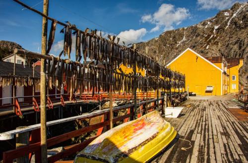 A-i-Lofoten