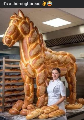 FB_IMG_1737735647341