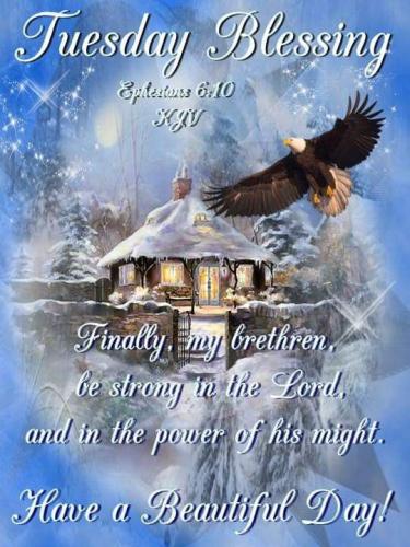 morning winter tuesday 4