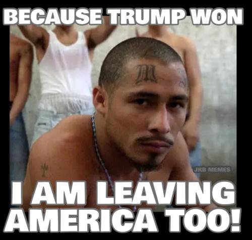 FB_IMG_1735772472936