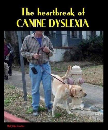 Screenshot_20250126_185019_Gallery