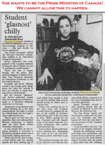 freelend the activist 2