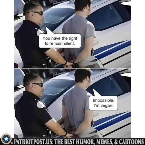 01JGQ45QCJ4DHBWYKFYVC2PCRN