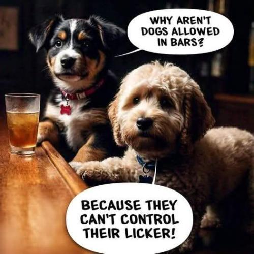 FB_IMG_1736280272139