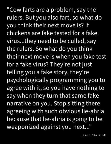 photo_2025-01-16_22-02-38