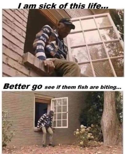 FB_IMG_1736118453445