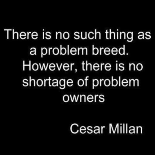 4944a05a087a0972687c3ba35d721dea