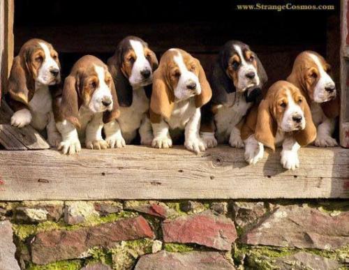 9d37509eacbd8742c1c233cffd0e9d5b