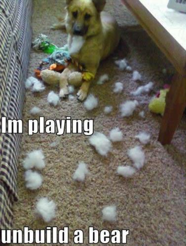 f2cab646626fa8c94ce86aa478e516b5