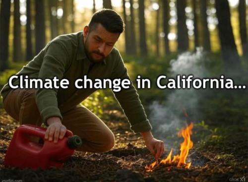 FB_IMG_1736481137962