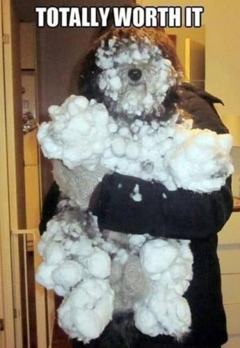 Screenshot_20250108_145049_Gallery