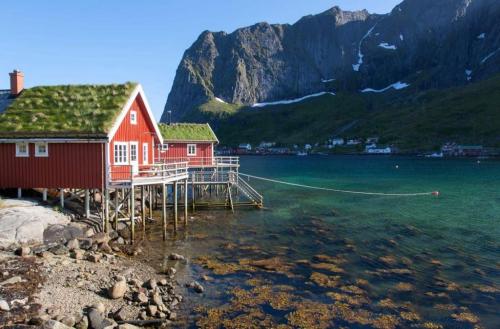 Lofoten-Experience