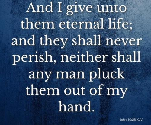 2d0f3dba-c7ff-4fec-8869-c6088e4ebd4a