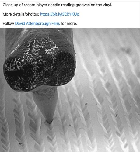 A6A9942F-8C2A-418F-9771-DEAAF09C77E4