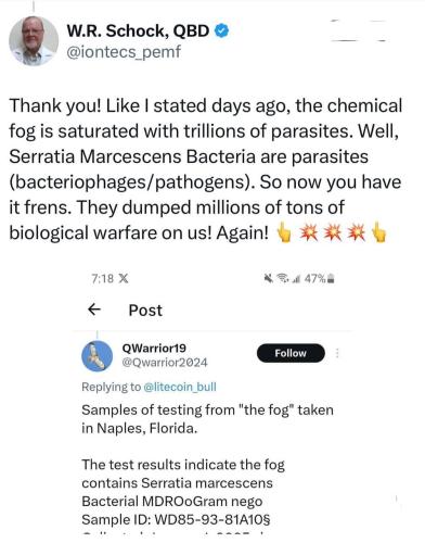 photo_2025-01-11_21-11-20