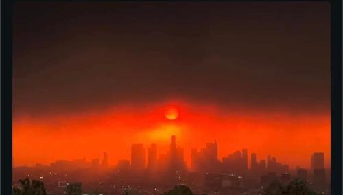 FB_IMG_1736370181819