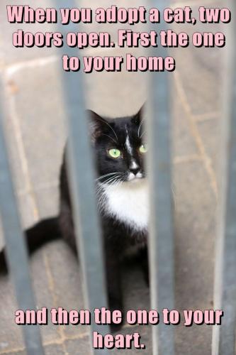 f23da2d02dd15cc47517490347aac03b