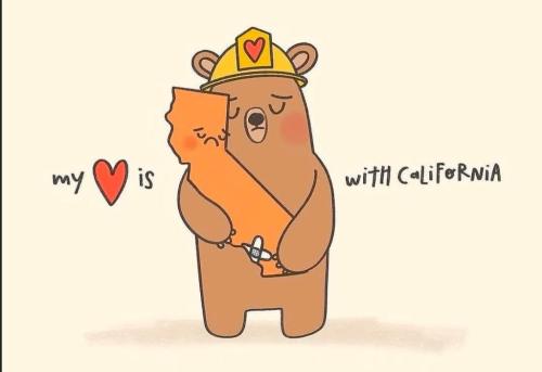 photo_2025-01-11_21-00-33