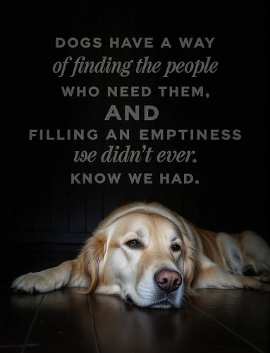 FB_IMG_1738006233067