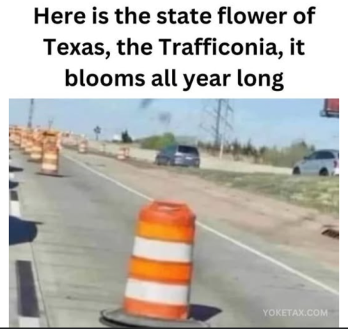 Screenshot 2024-12-19 075357