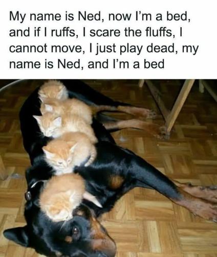 E2B9ED9B-2468-4F44-B54A-8EC1FB0C2296