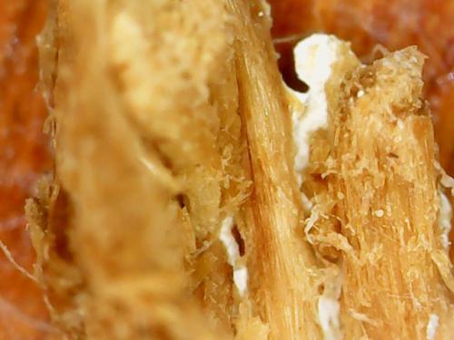 FINGER PADDING KEYBOARD DROP (21)