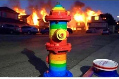 Screenshot_20250110_094240_Facebook